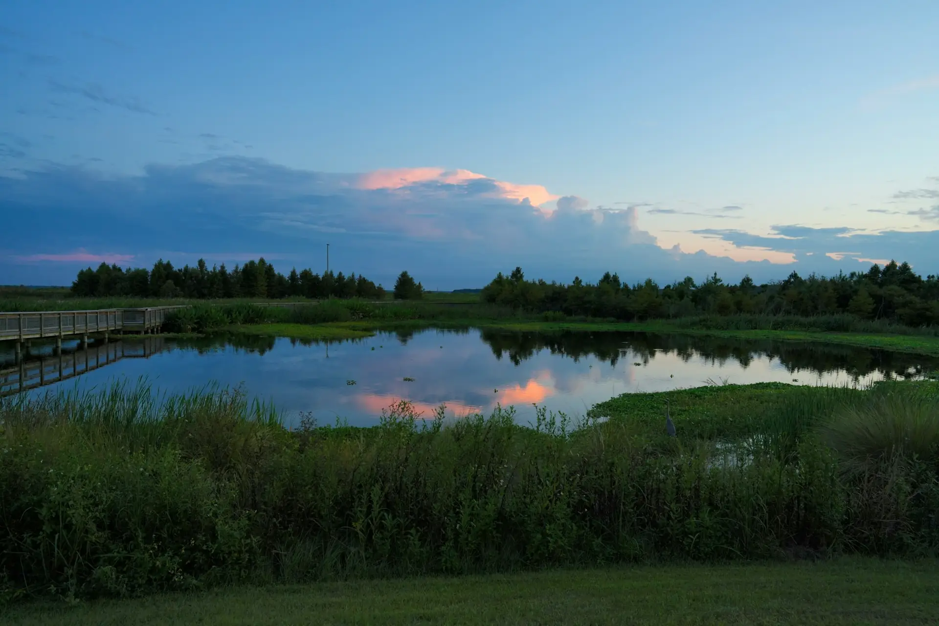 Wetland prairie reflecting the evening sky