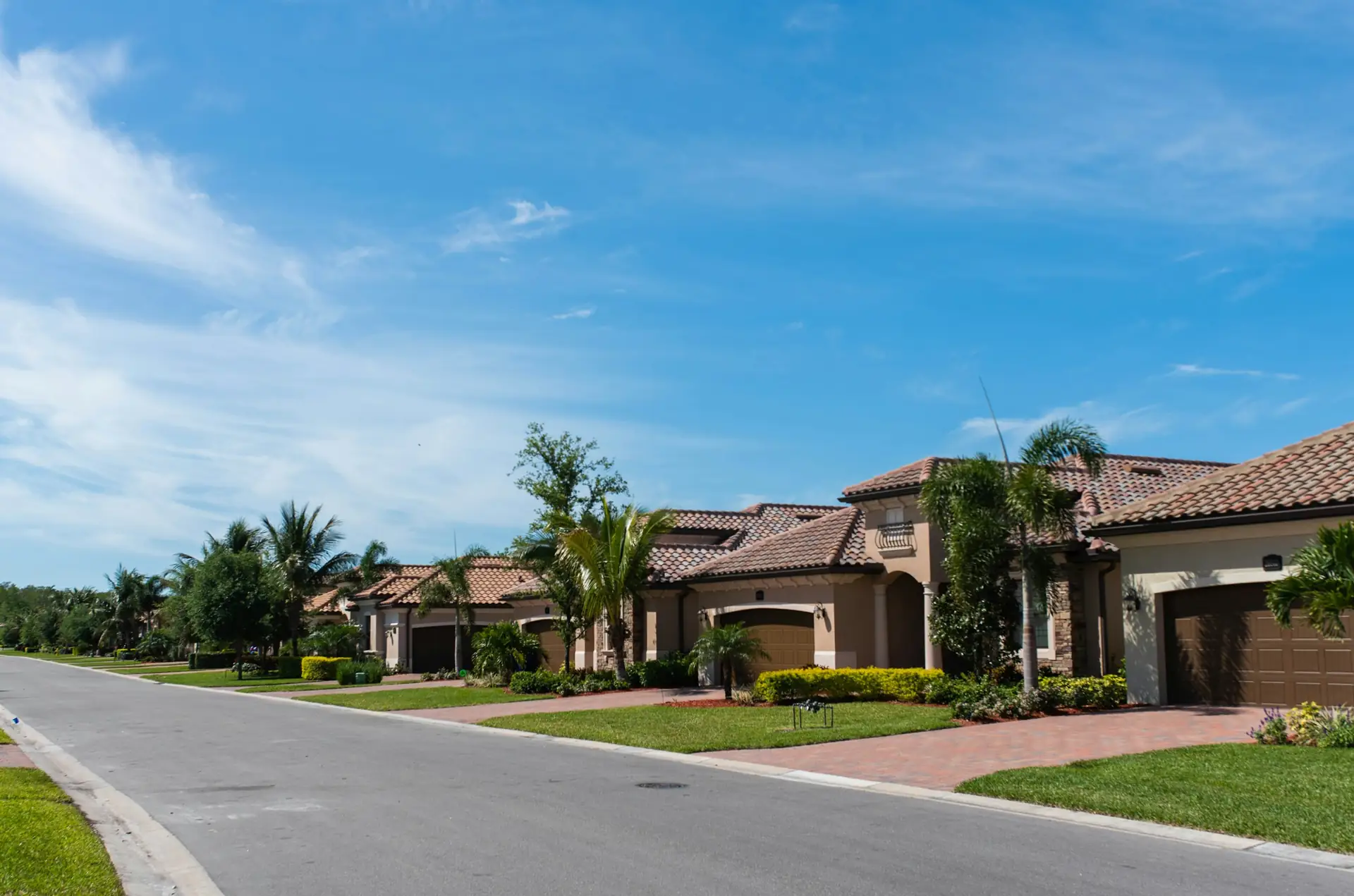 Neighborhood street of tile-roof homes with palm trees