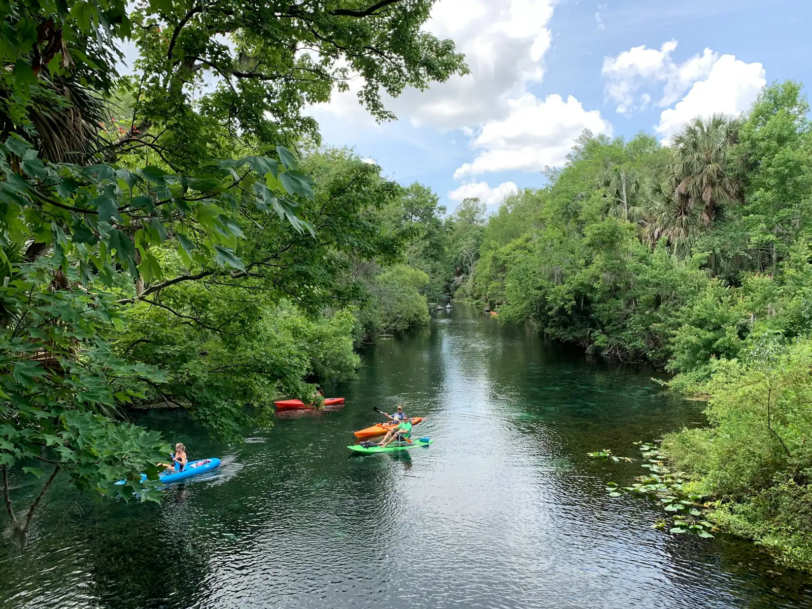 Kayakers paddling a clear, tree-lined river